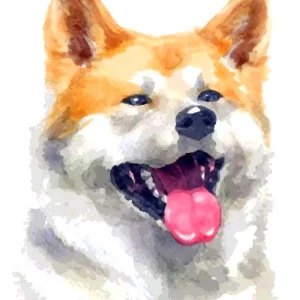 Akita Inu