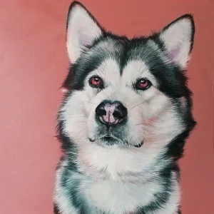 Alaskan Malamute