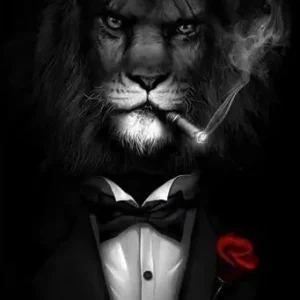 Do not argue with an idiot. He will drag you down!