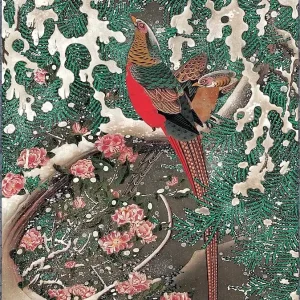 Golden Pheasants in Snow