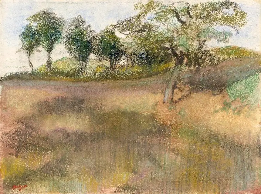 Plowed Field Bordered by Trees