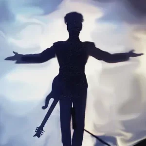 Prince on stage, Blue background