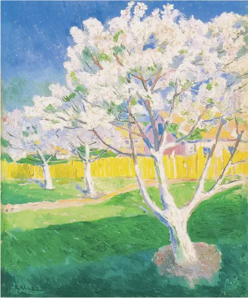 Apple Trees in Blossom