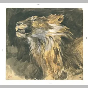 Roaring lion's head