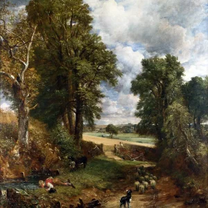The Cornfield