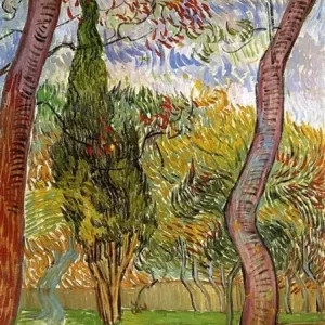 The Garden of Saint-Paul Hospital, 1889