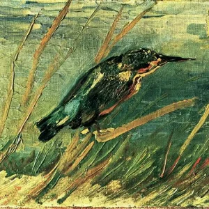 The Kingfisher (1886)